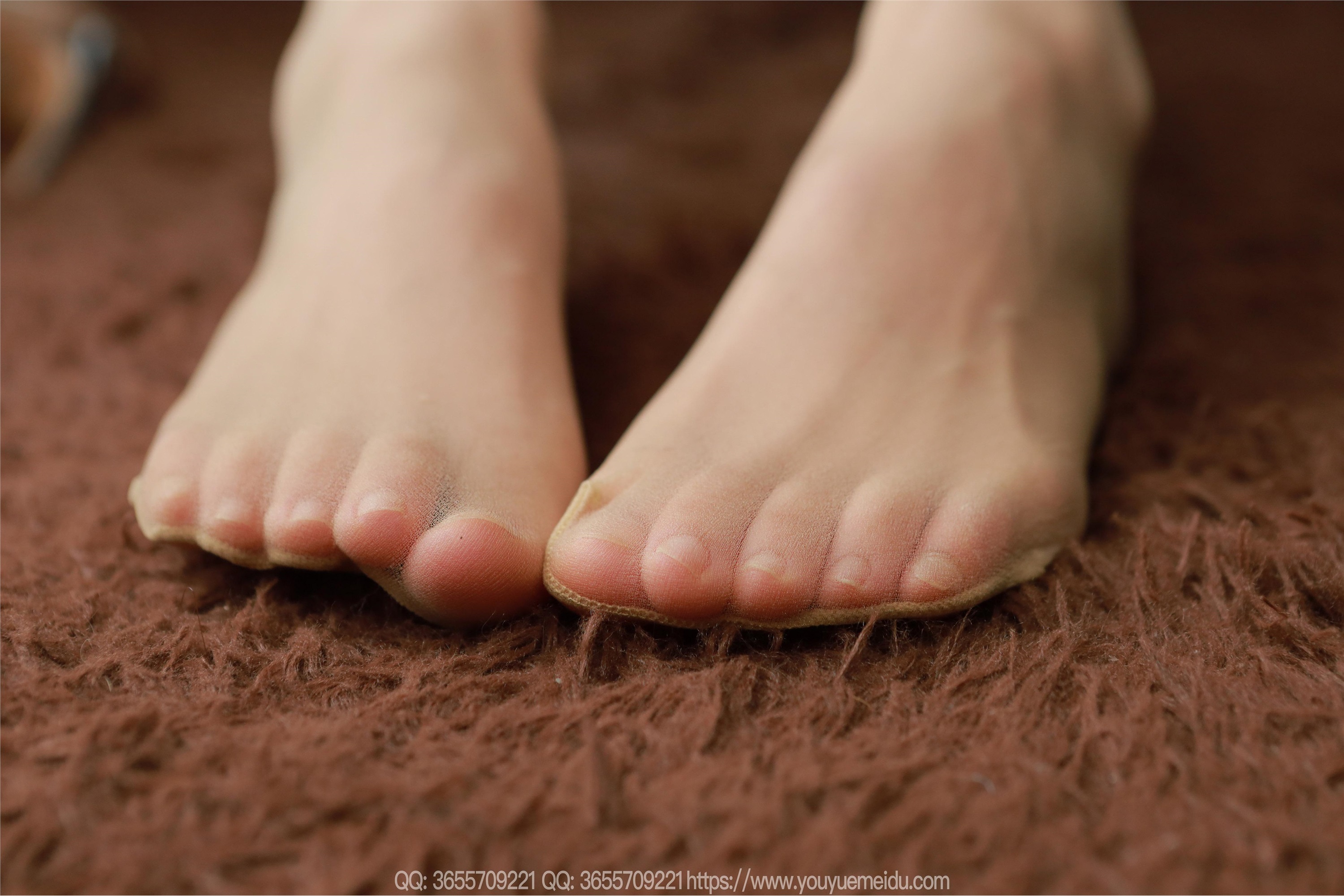 IESS异思趣向  2025.05.13 丝享家 2052 小金《丝丝入扣》